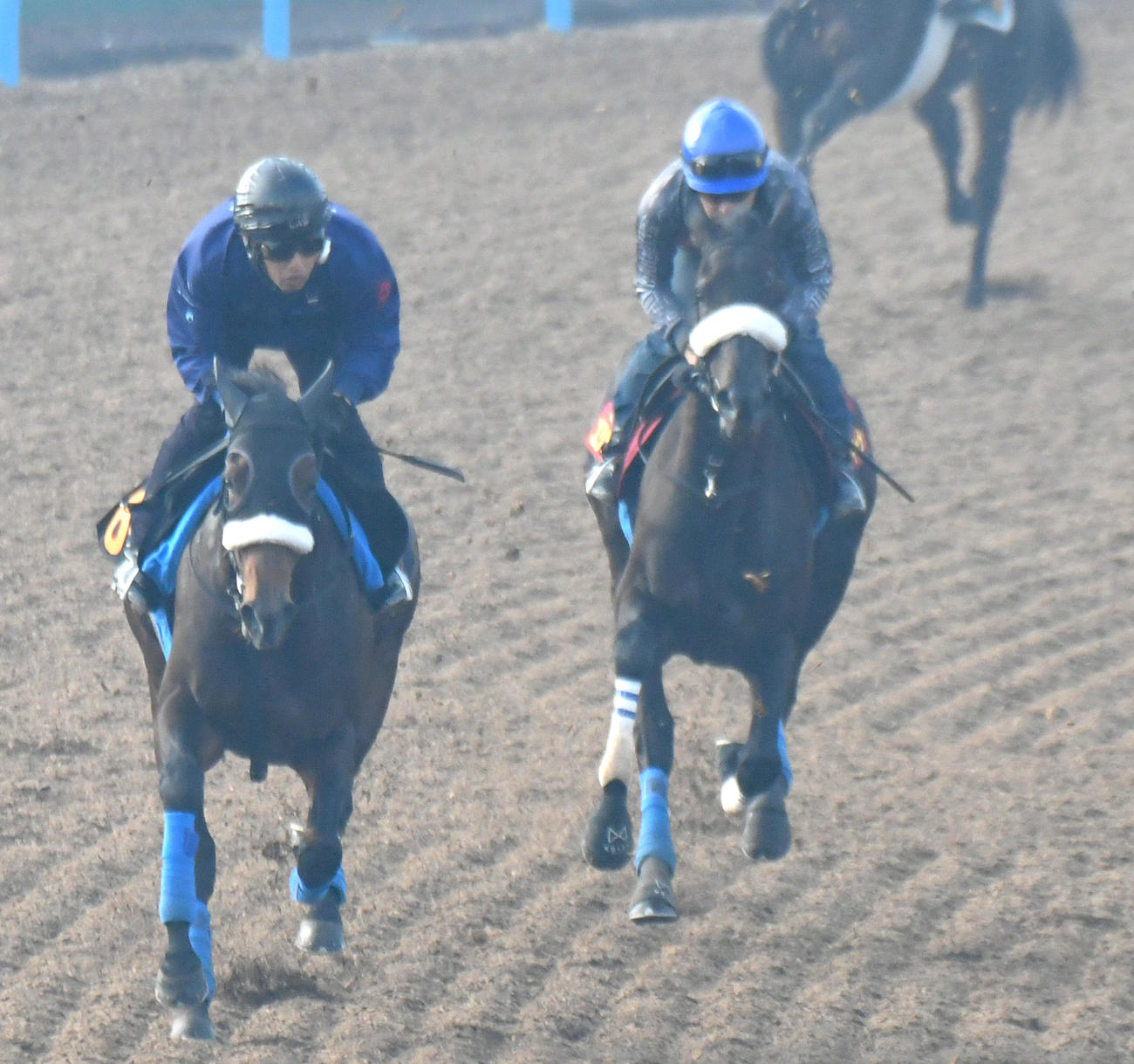 エリカヴィータ（右）は福永騎手を背にリラックした雰囲気で最終追い（撮影・酒井清司）