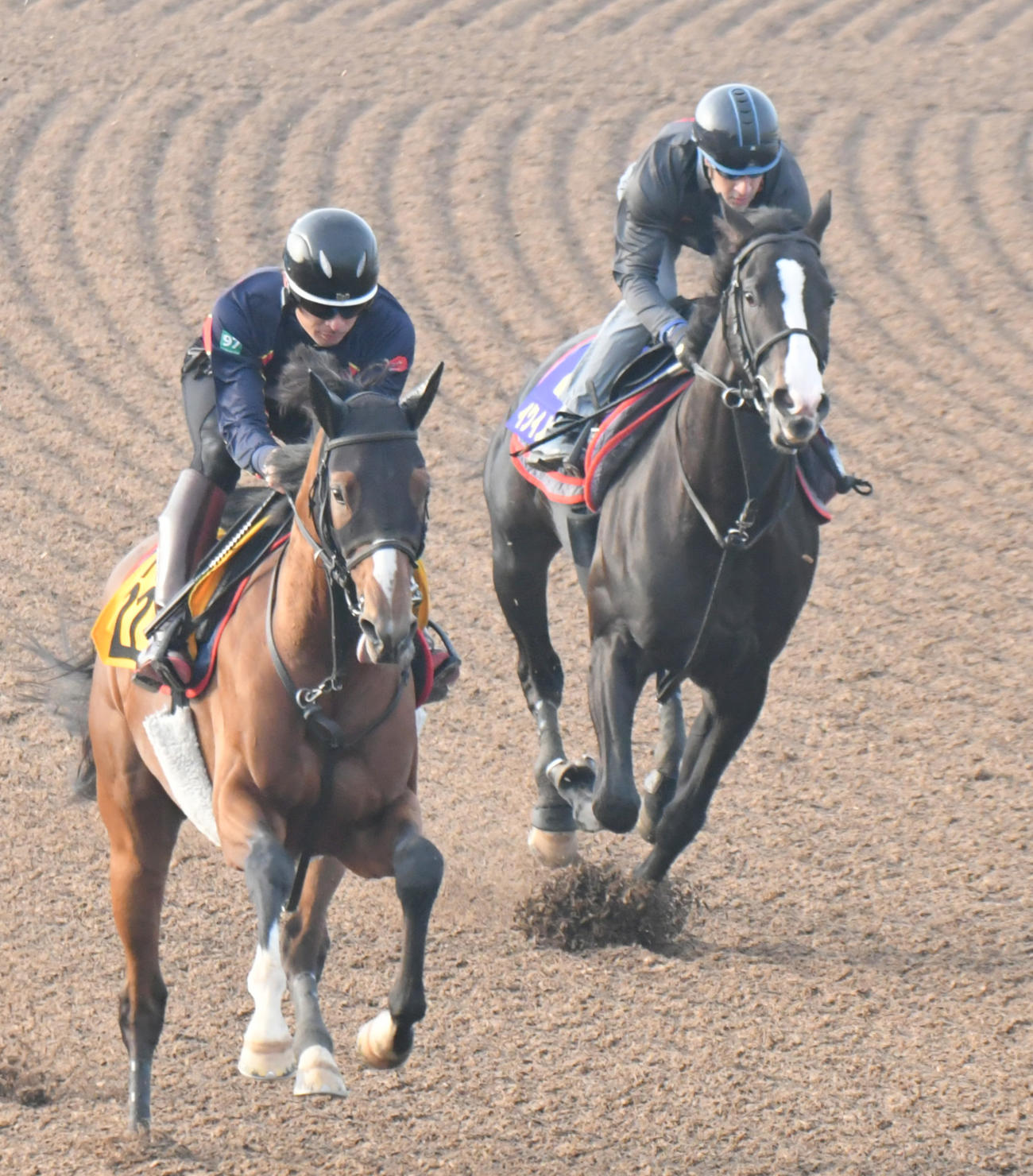 イクイノックス（右）はルメール騎手を背に併せ馬で追い切られた（撮影・酒井清司）