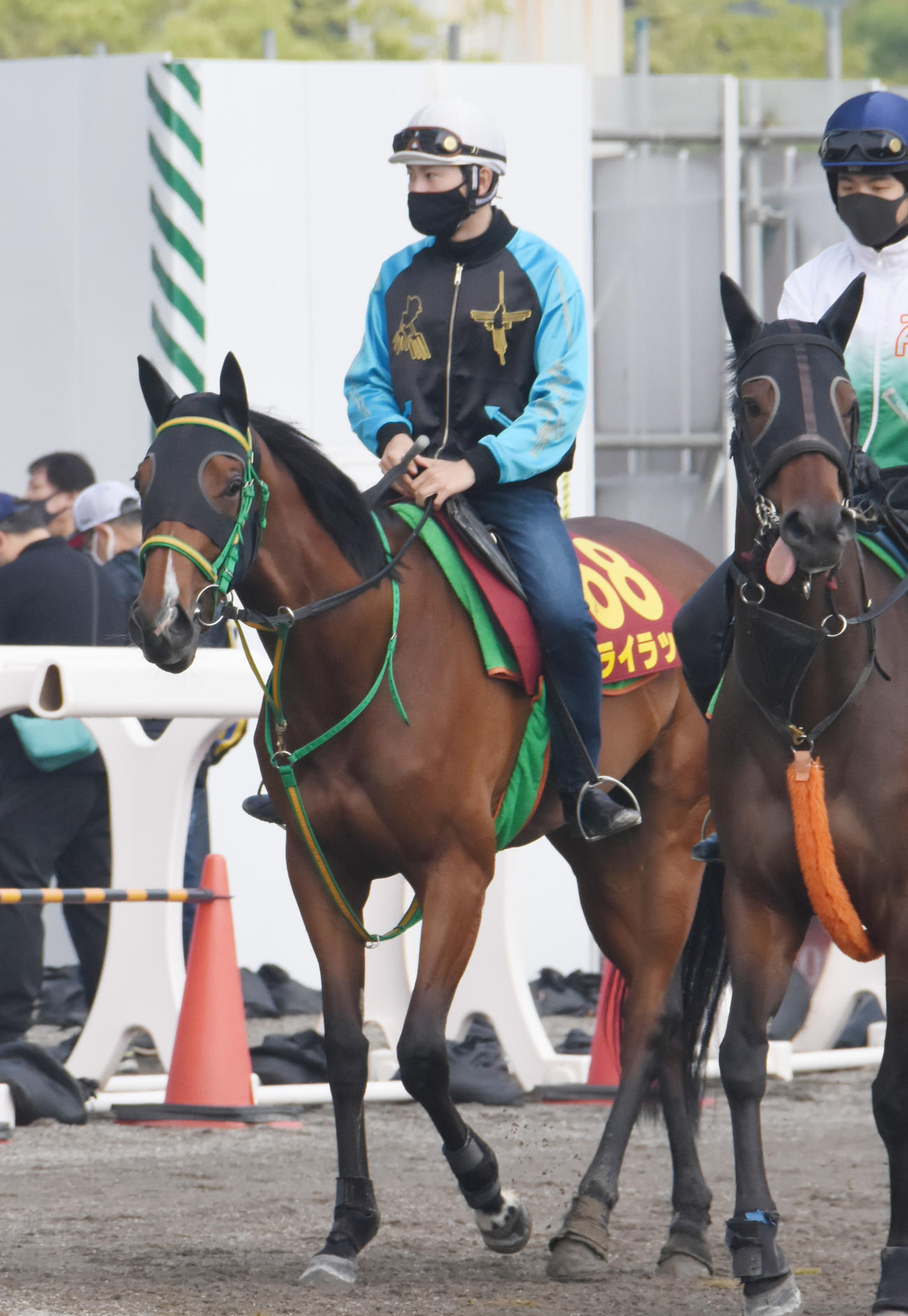 ライラック（2022年5月18日撮影）