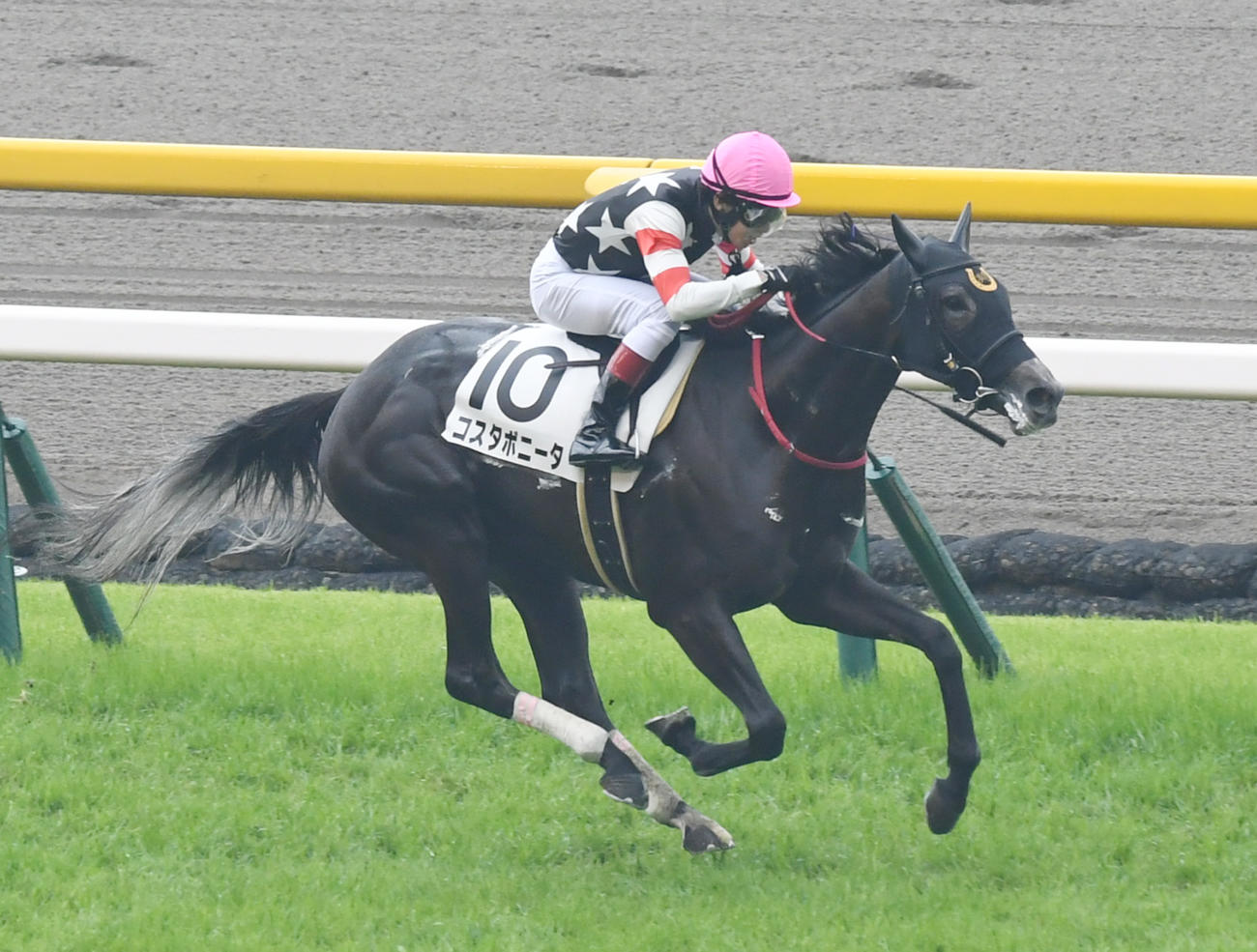 東京6R、3歳1勝クラスを快勝したコスタボニータと田辺裕信騎手