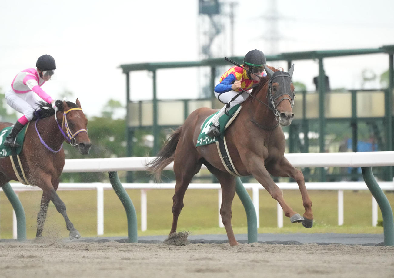 平安Sを制したテーオーケインズ（右）（撮影・森本幸一）