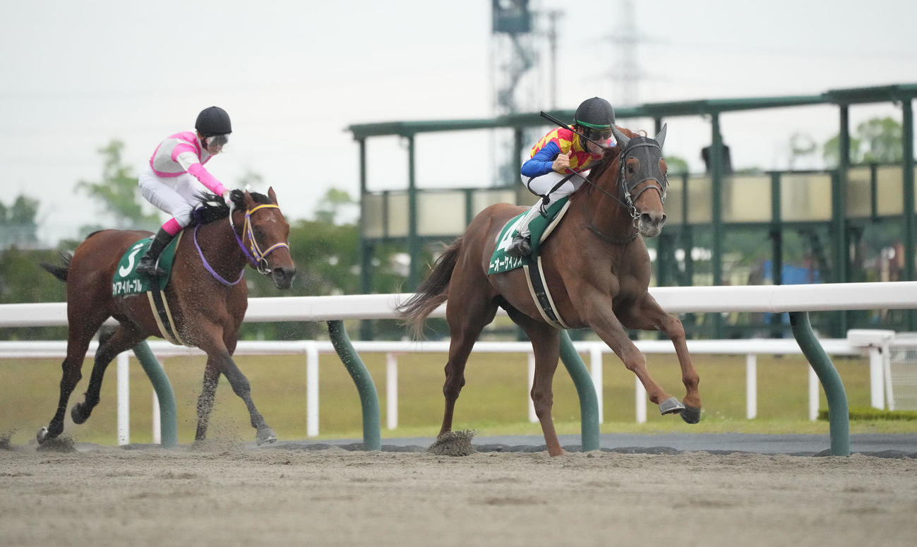 平安Sを制したテーオーケインズ（右）2着にケイアイパープル