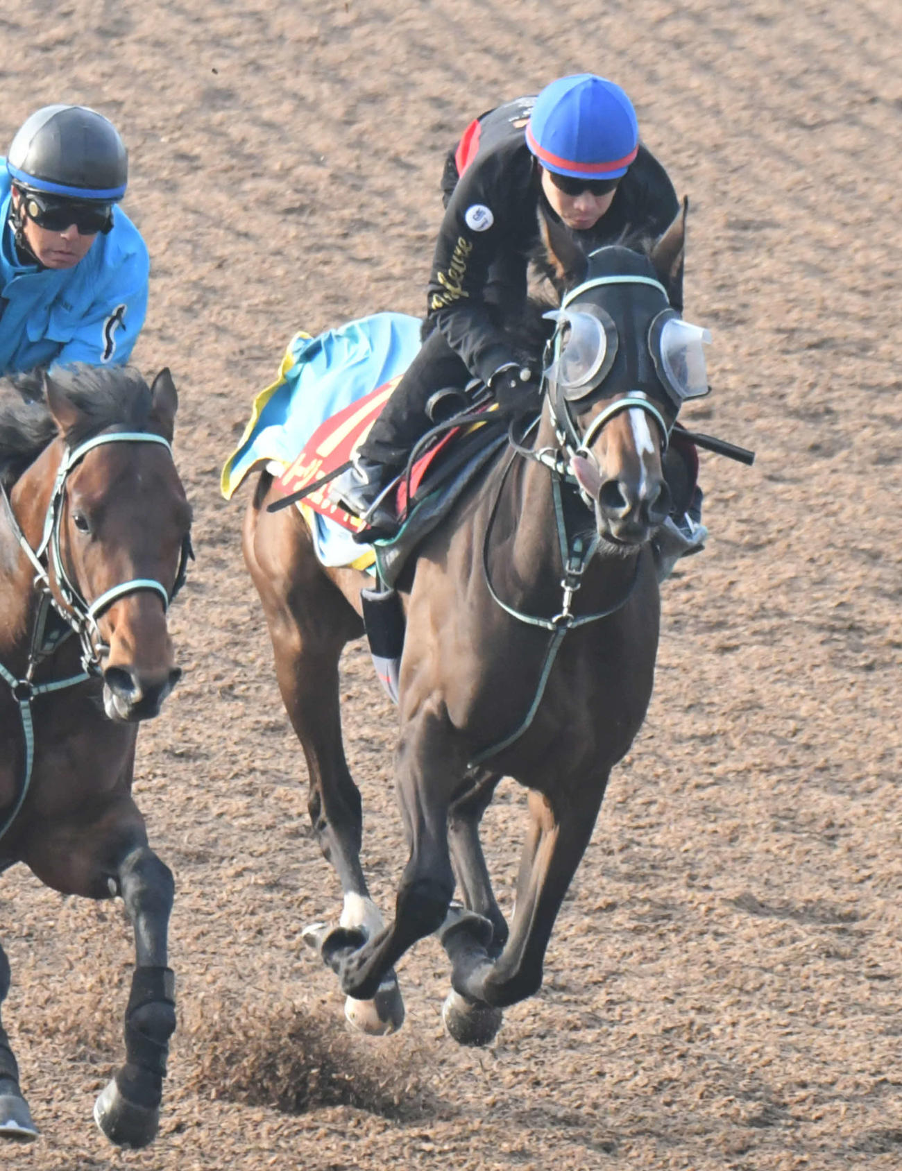 ルージュエヴァイユ（2022年5月18日撮影）