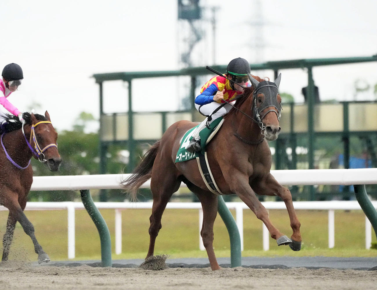 平安Sを制したテーオーケインズ（撮影・森本幸一）