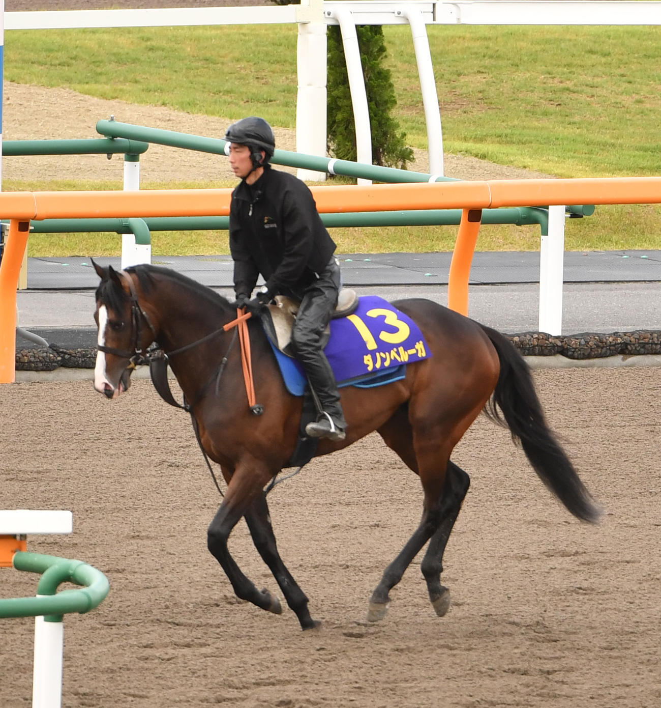 調整するダノンベルーガ（撮影・柴田隆二）
