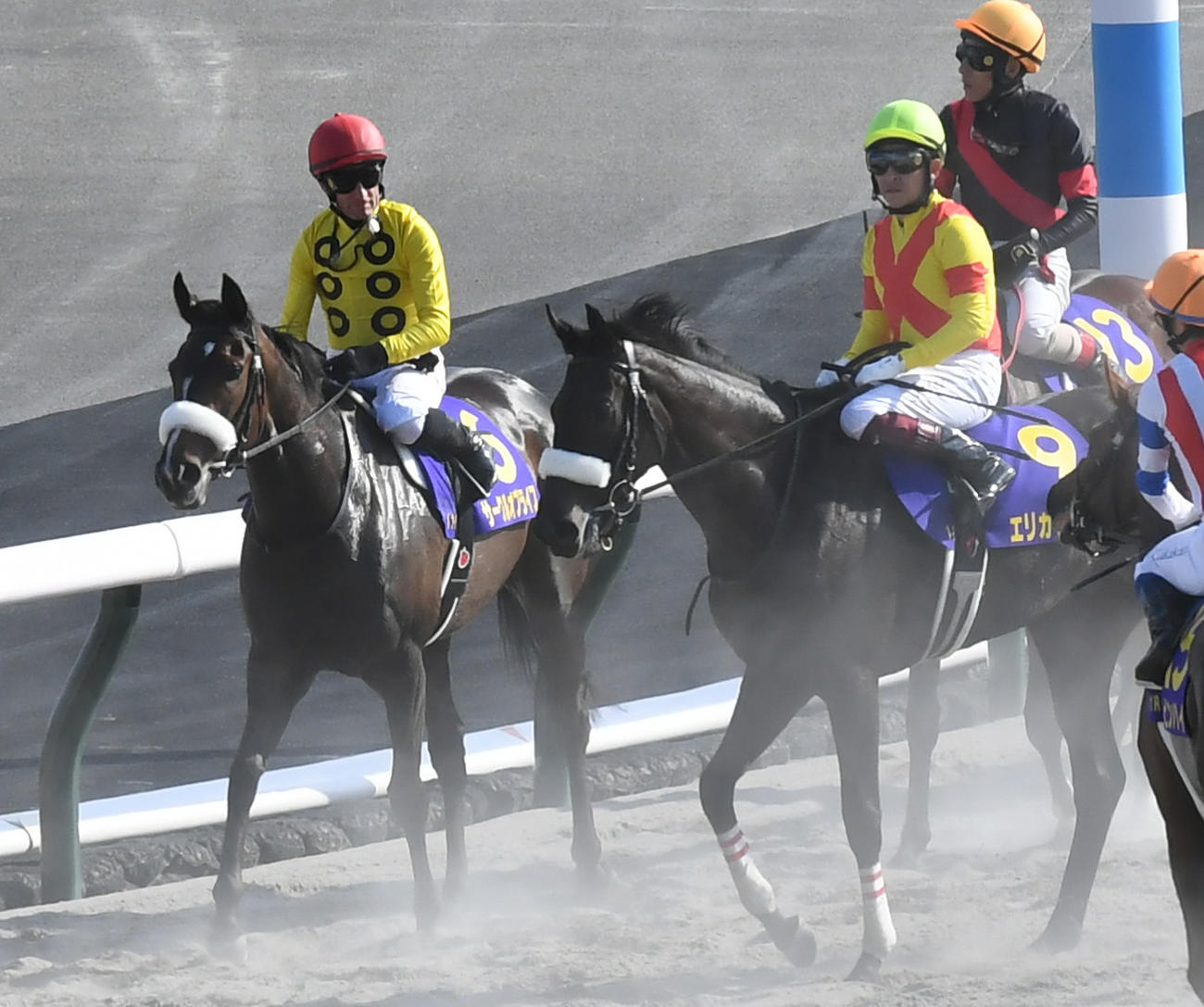 1番人気のサークルオブライフとM・デムーロ騎手は12着に惨敗（左）（撮影・酒井清司）