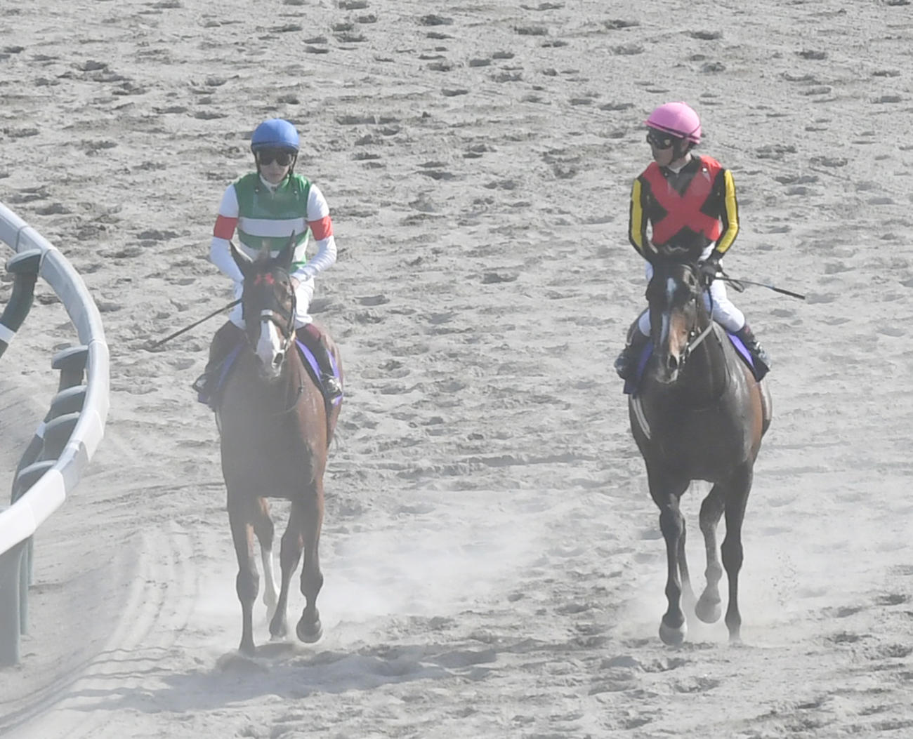 3着のナミュール（左）は、5着プレサージュリフトと一緒に引き揚げる（撮影・酒井清司）