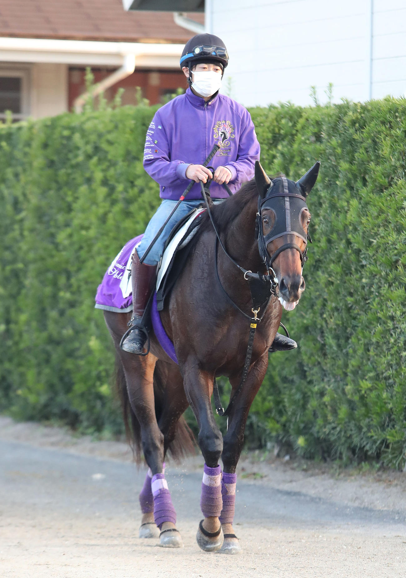 厩舎周りで運動するフライライクバード（2021年10月28日撮影）