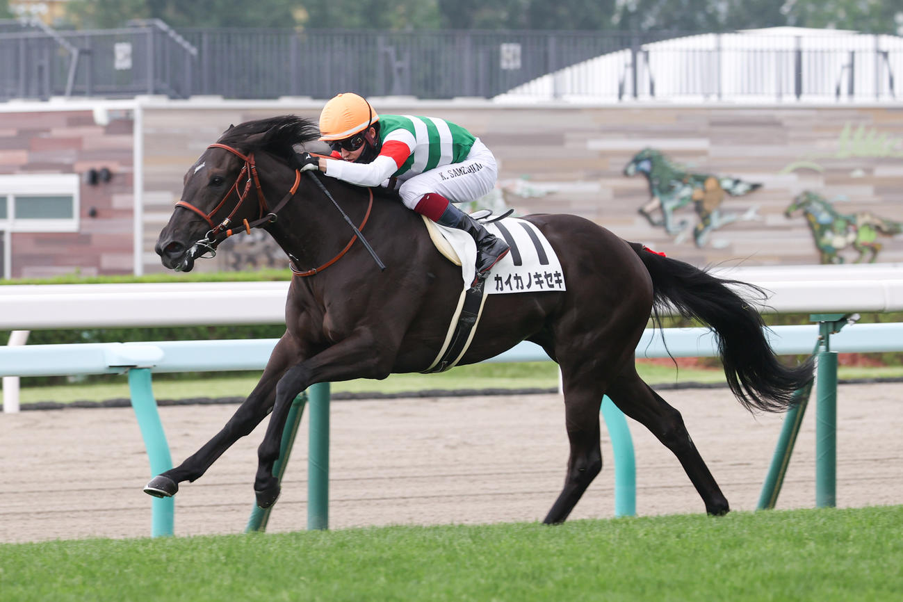 レコードタイムでデビュー戦を制したカイカノキセキ（2021年6月12日撮影）