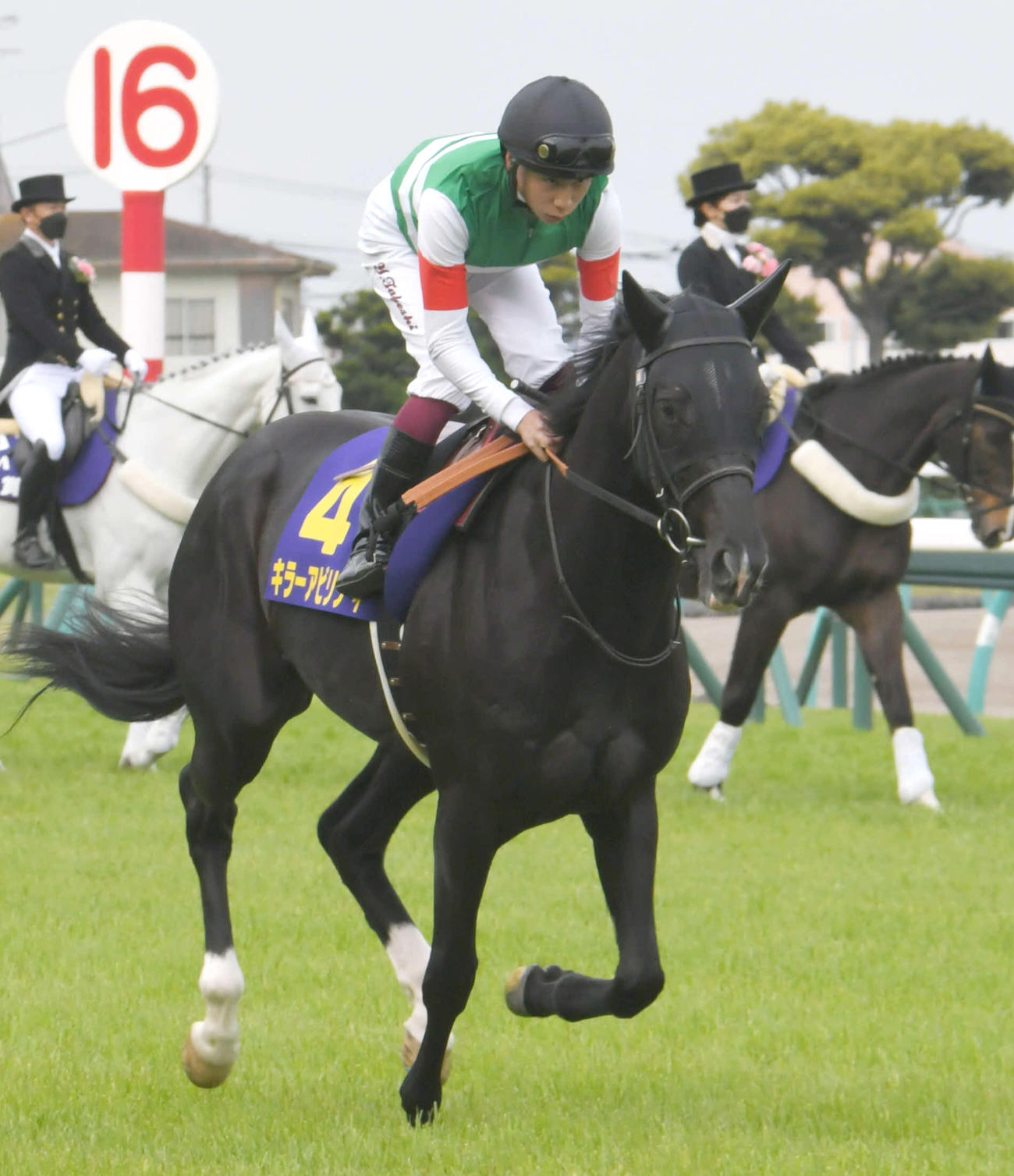 皐月賞13着に敗れたキラーアビリティと横山武史騎手（2022年4月17日撮影）