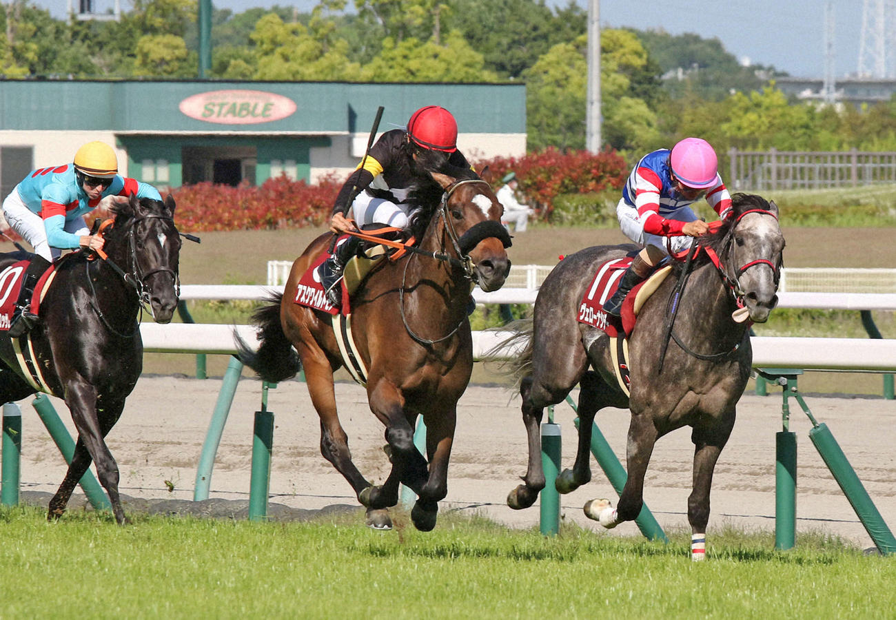 京都新聞杯を制したアスクワイルドモア（中央）（2022年5月7日撮影）