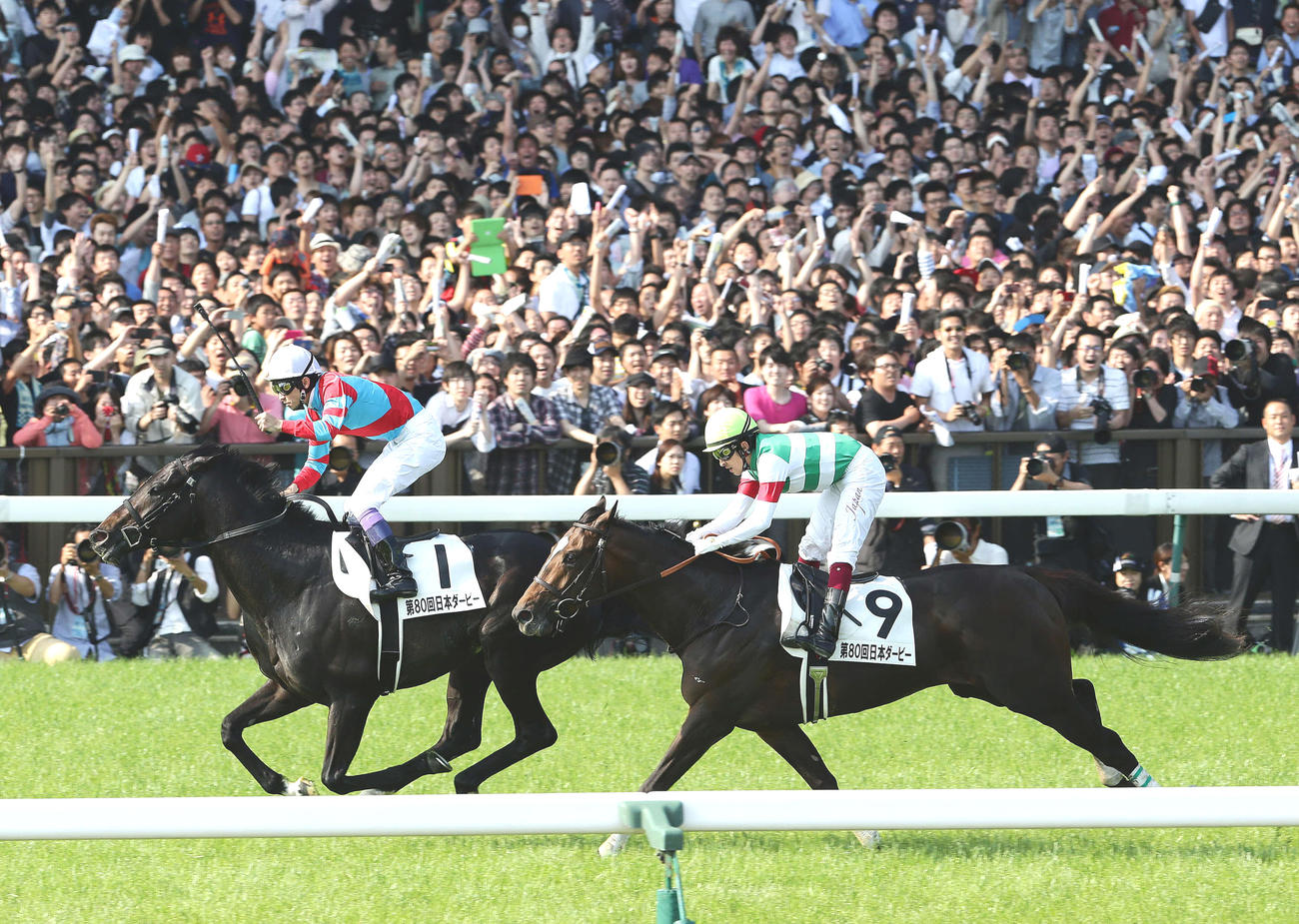 13年日本ダービー、ゴール前でキズナ（左）にかわされ2着となったエピファネイアと福永祐一騎手