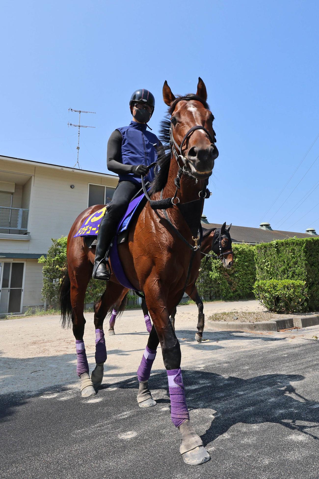 ゆったりと馬道を歩くドウデュース
