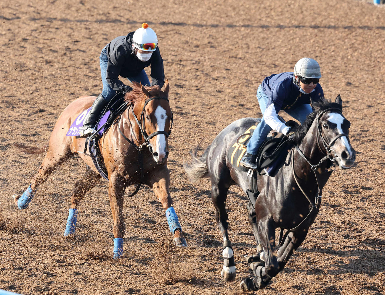 ナランフレグ（左）は美浦ウッドを併せ馬で追い切られた（撮影・丹羽敏通）