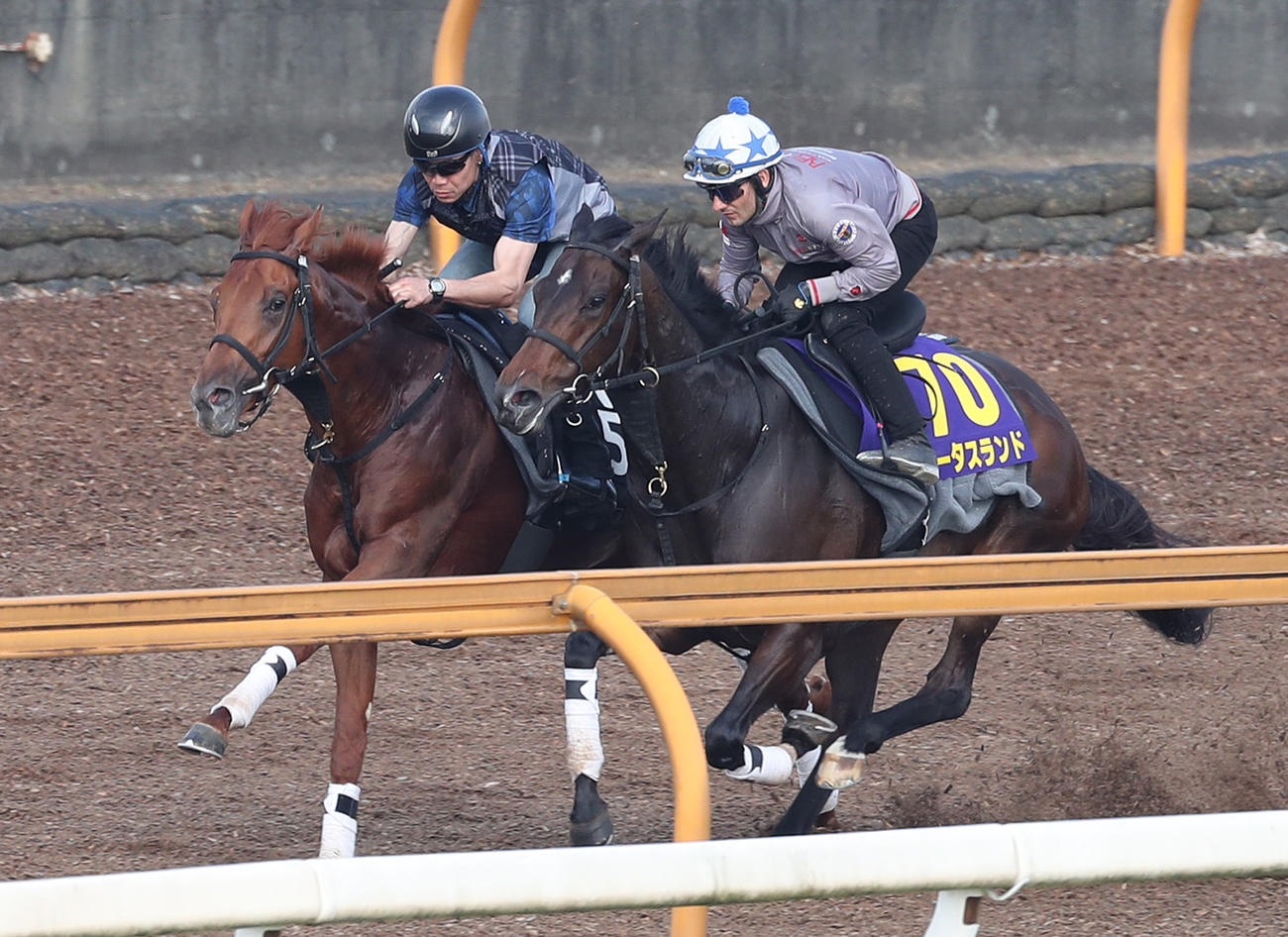 M・デムーロ騎手を背にCウッドをミクソロジー（左）と併せ馬で追い切るロータスランド（撮影・白石智彦）