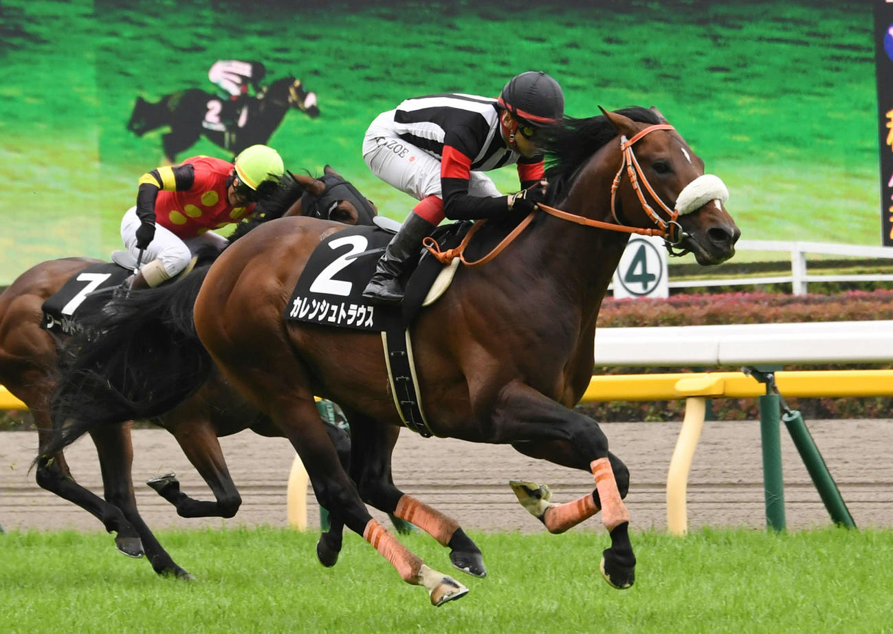 メイSを快勝したカレンシュトラウス（2022年5月21日撮影）