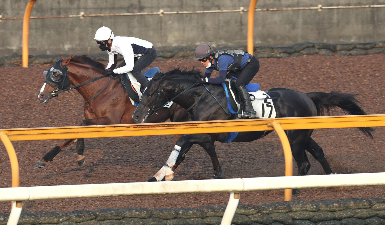 浜中騎手を背にCウッドをヴィルヘルム（右）と併せ馬で追い切るボッケリーニ（撮影・白石智彦）