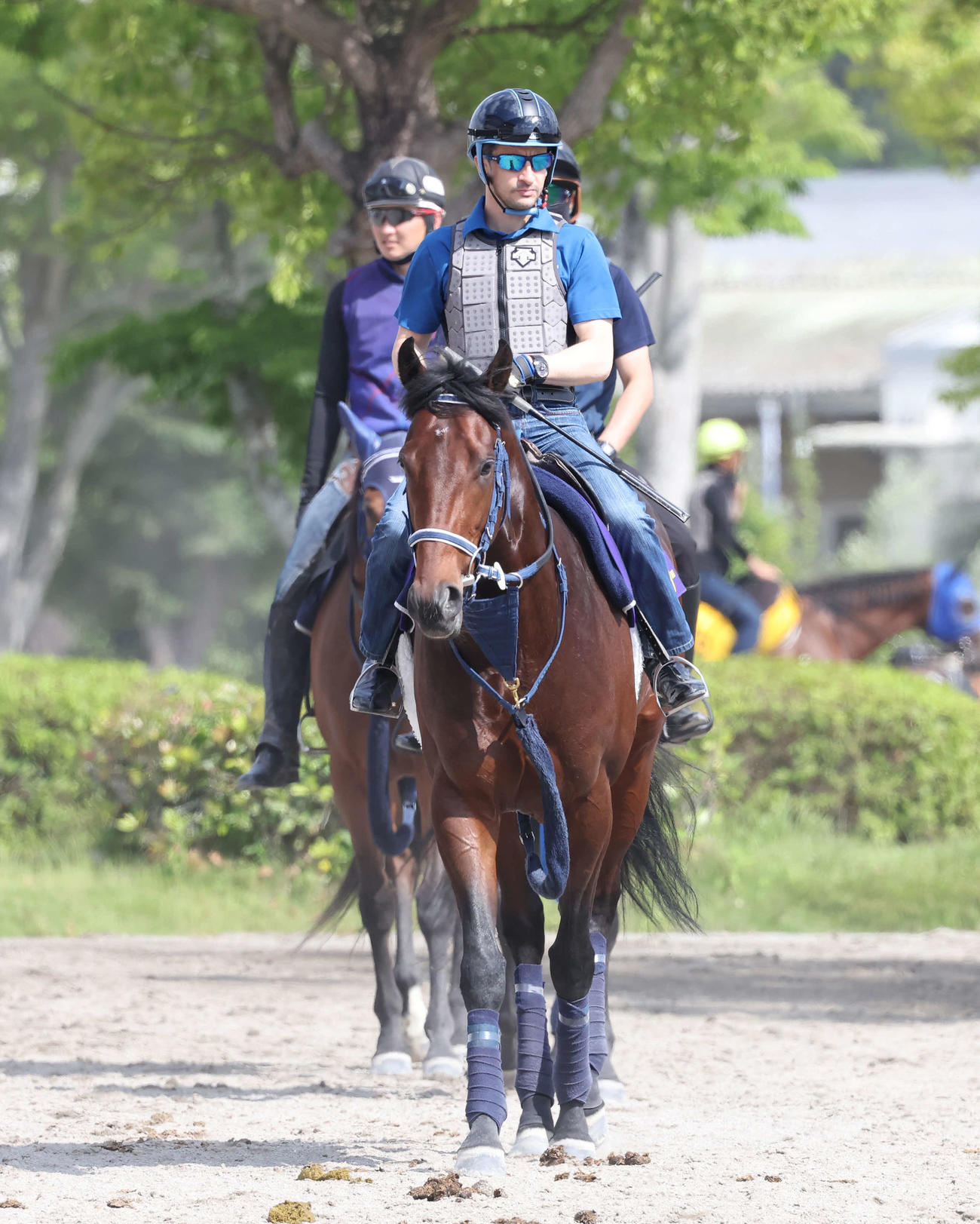 馬場へ向かうシュネルマイスターとルメール騎手（撮影・丹羽敏通）