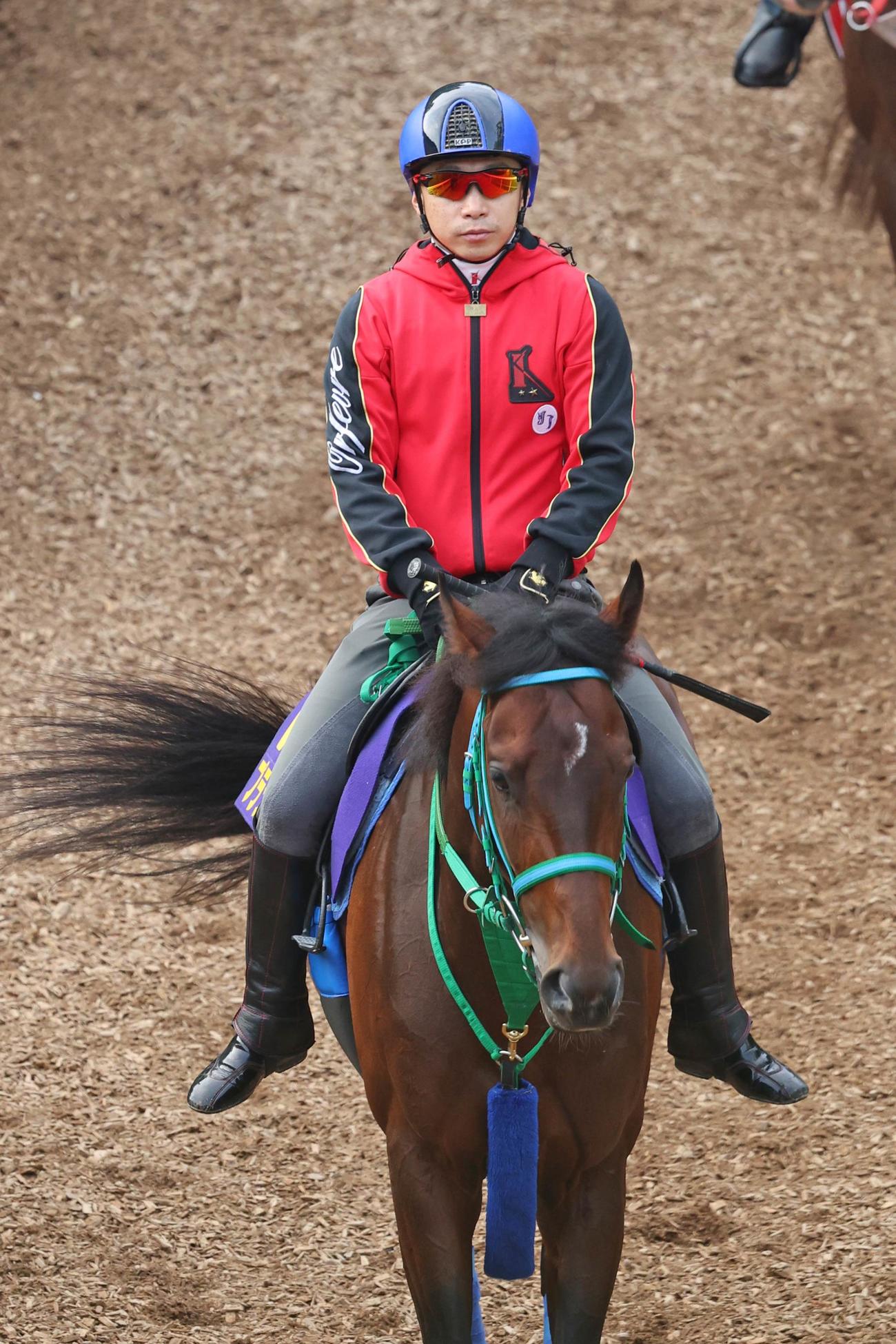 池添騎手が騎乗し、馬場入りするプラダリア