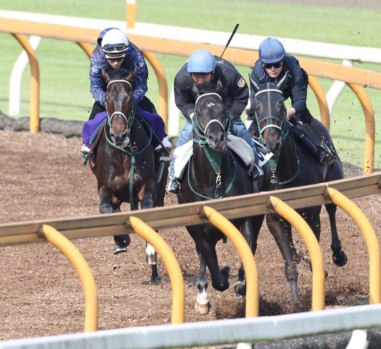 藤岡佑騎手を背にCウッドを3頭併せで追い切るピースオブエイト（左）