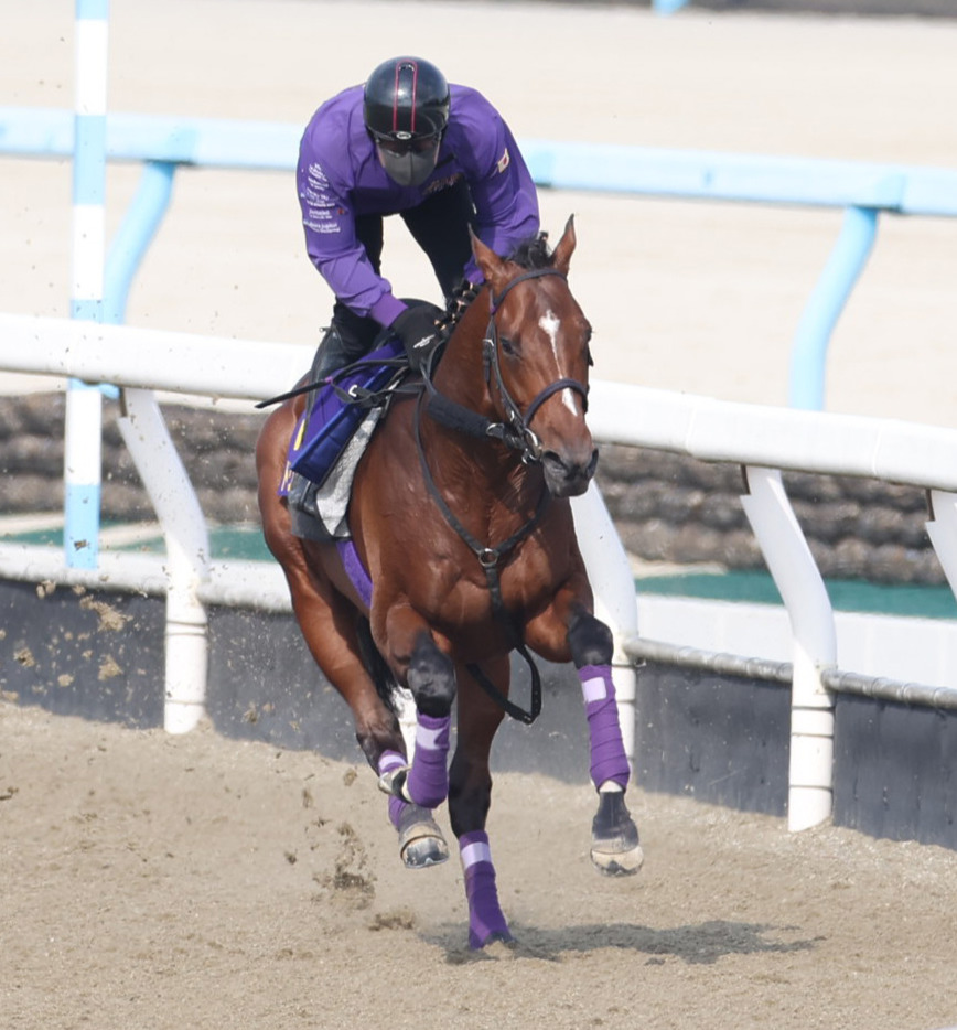 栗東ポリトラックで追い切るドウデュース