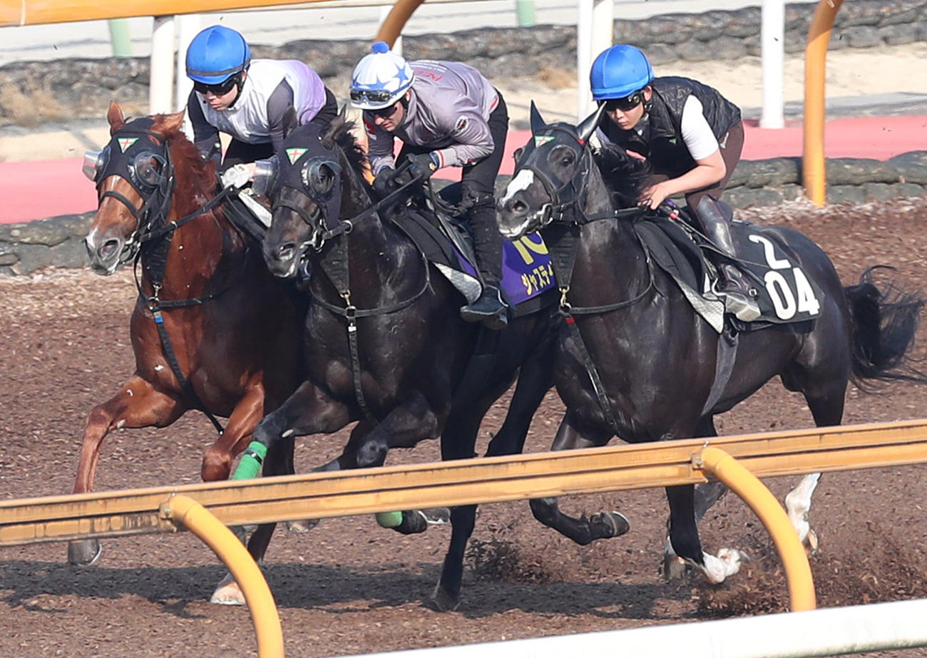 ジャスティンパレス（中央）はM・デムーロ騎手を背に3頭併せで追い切る（撮影・白石智彦）