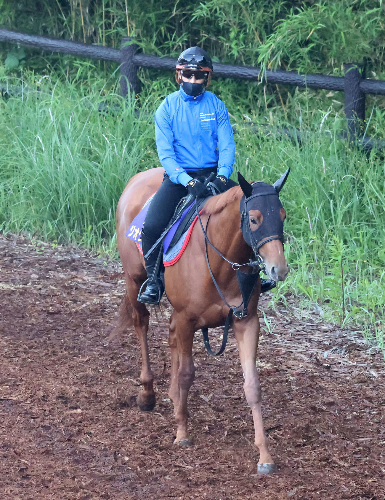 逍遙馬道で運動するジオグリフ（撮影・丹羽敏通）