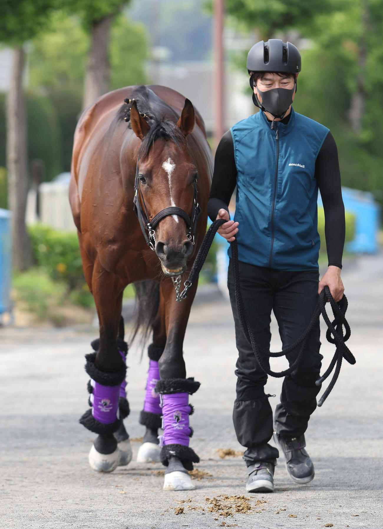 厩舎周りで運動するドウデュース（撮影・白石智彦）