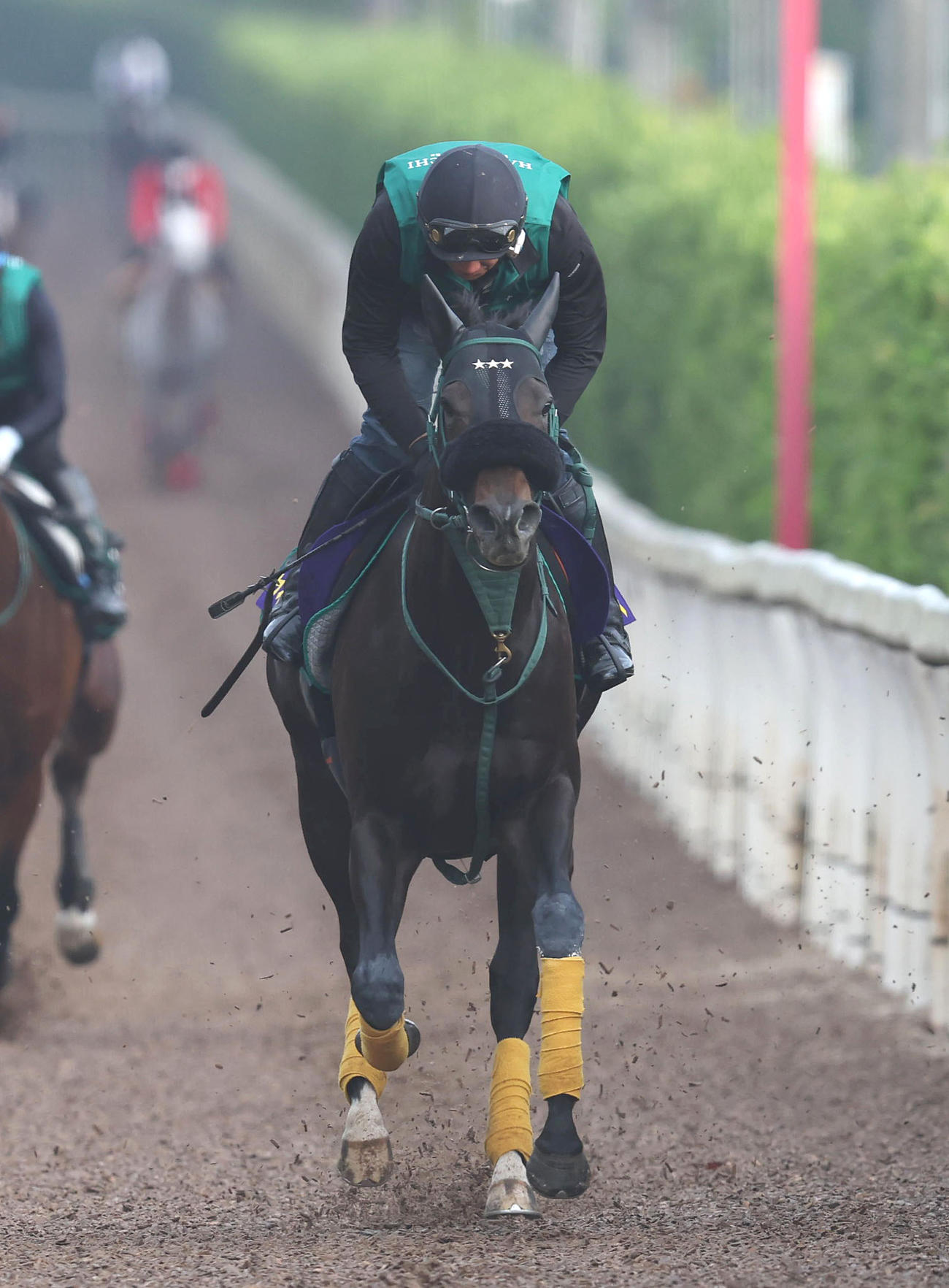 坂路を併せ馬で追い切るセイウンハーデス（撮影・白石智彦）