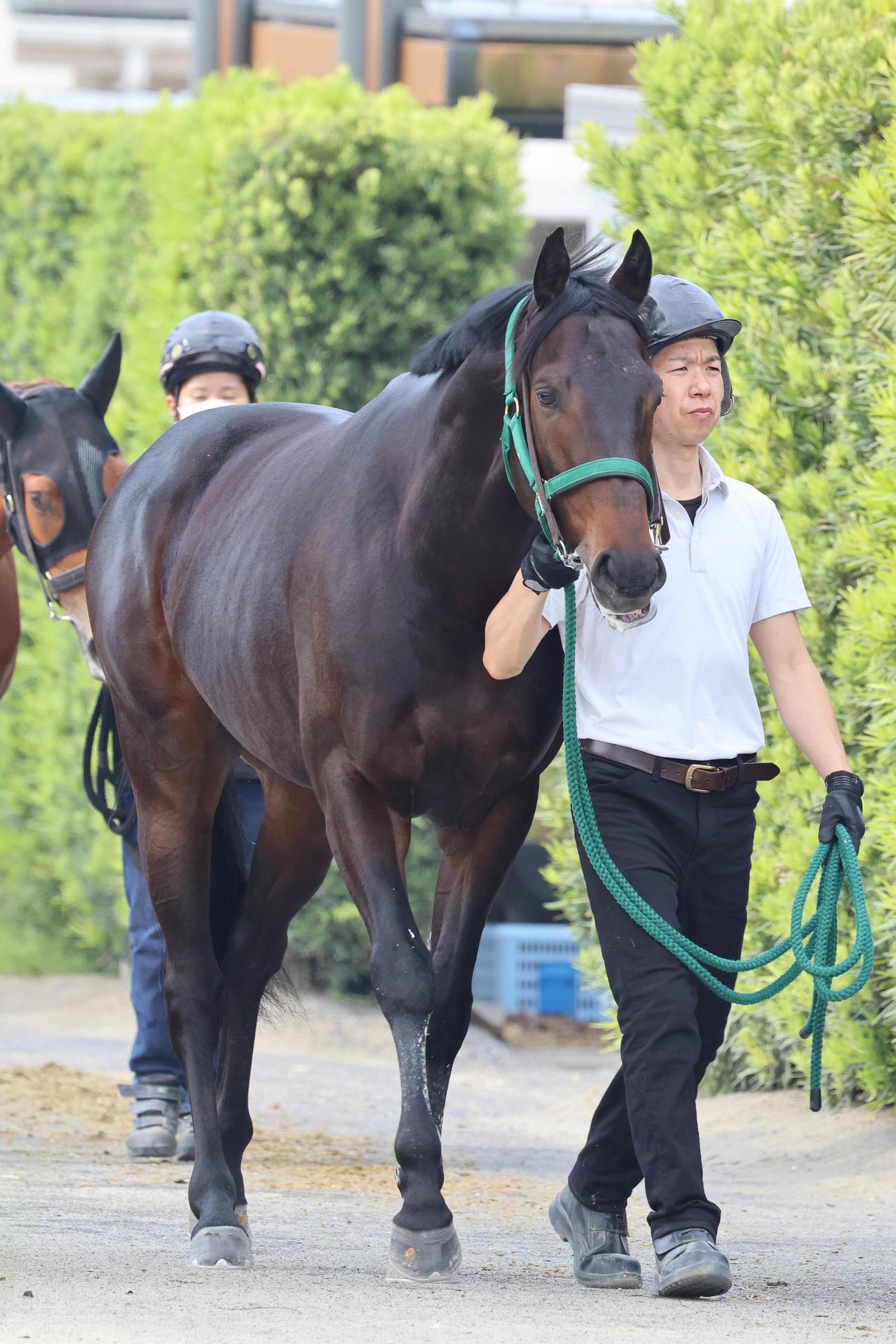 引き運動で調整されるピースオブエイト