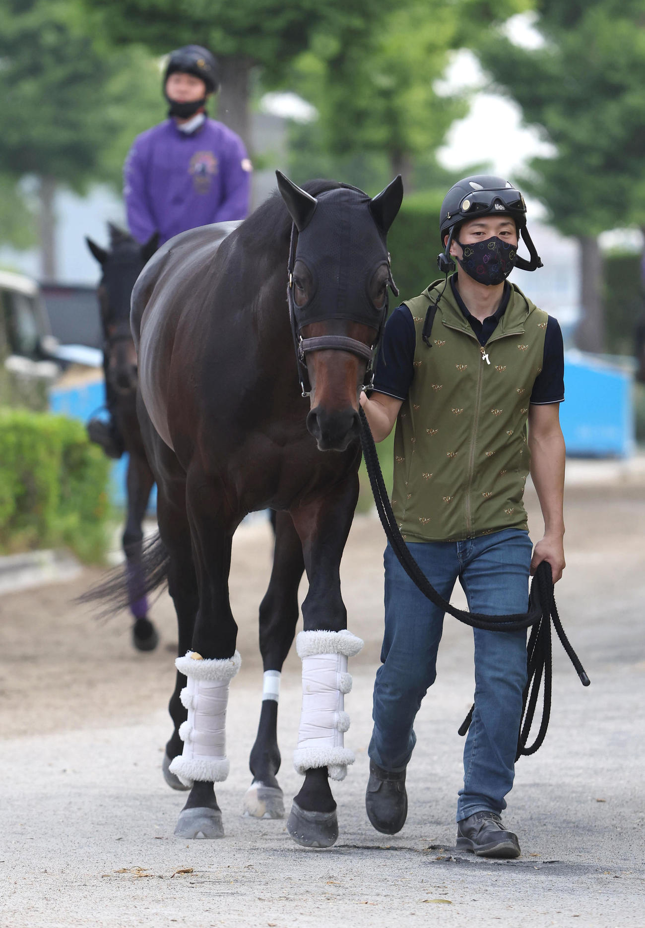 厩舎周りで運動するデシエルト（撮影・白石智彦）