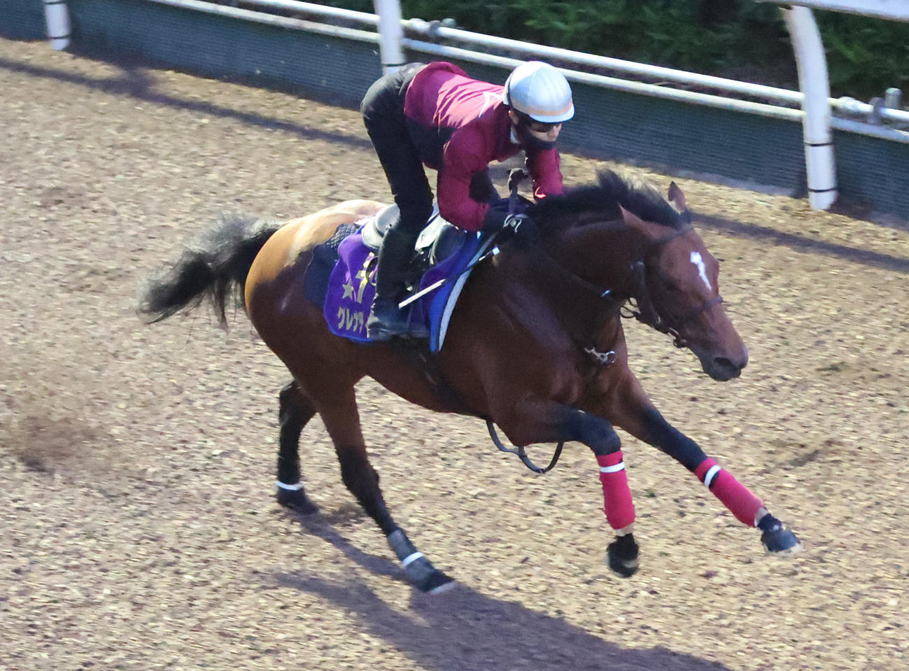 坂路で追い切るグレナディアガーズ