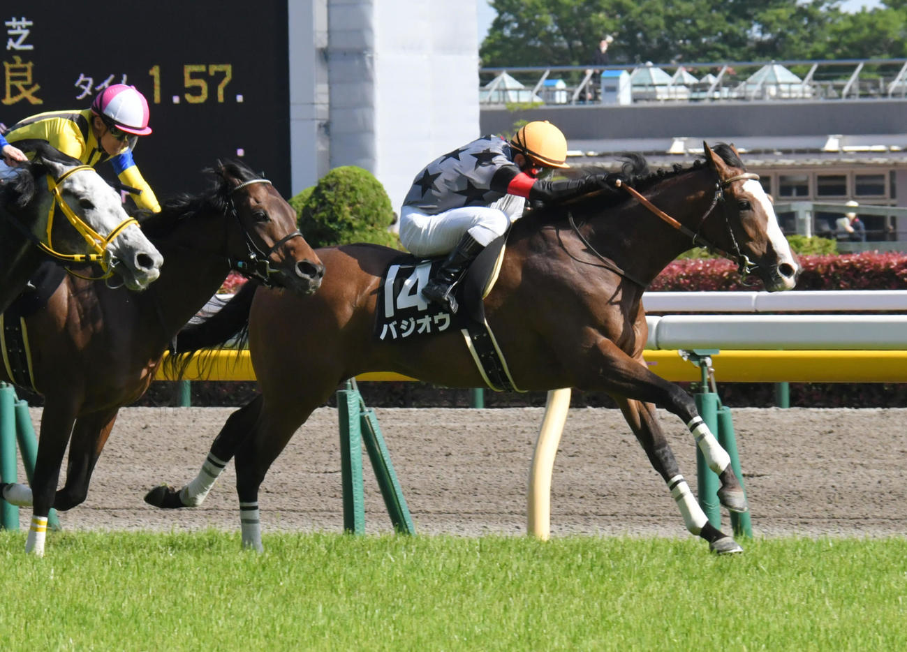 4月30日、府中ステークスを快勝したバジオウ