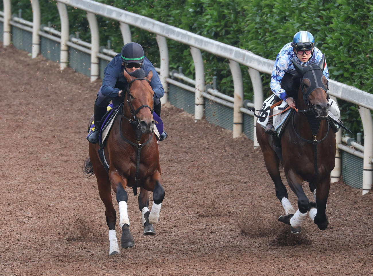 坂路にて併せ馬で追い切るダノンザキッド（左）