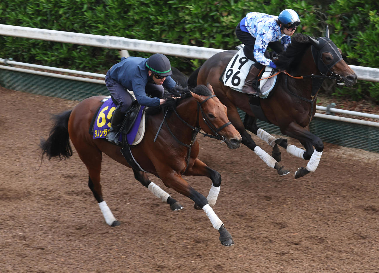 坂路にて併せ馬で追い切るダノンザキッド（手前）