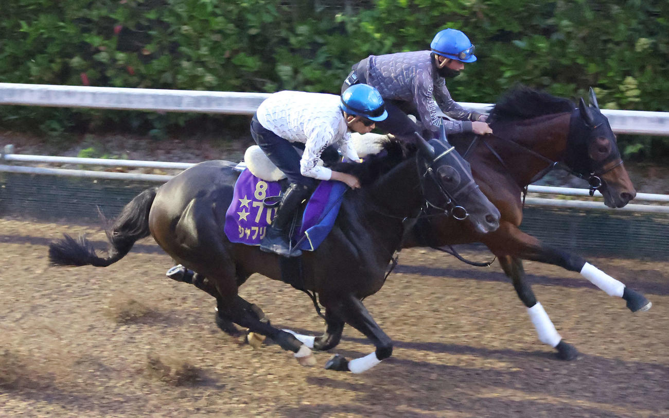 坂路にて併せ馬で追い切るシャフリヤール（手前）。奥はヴァンドギャルド