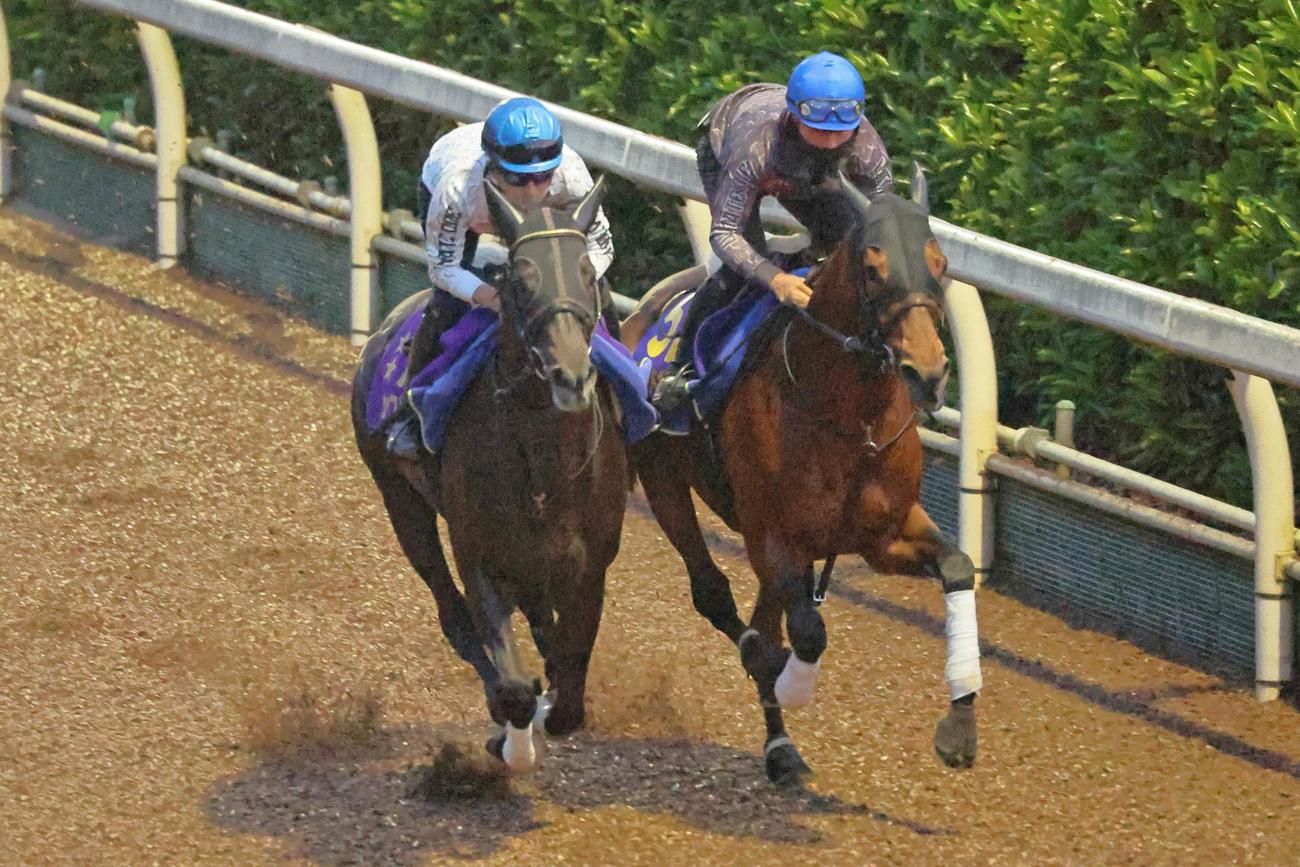 坂路でヴァンドギャルド（右）と併せたシャフリヤール