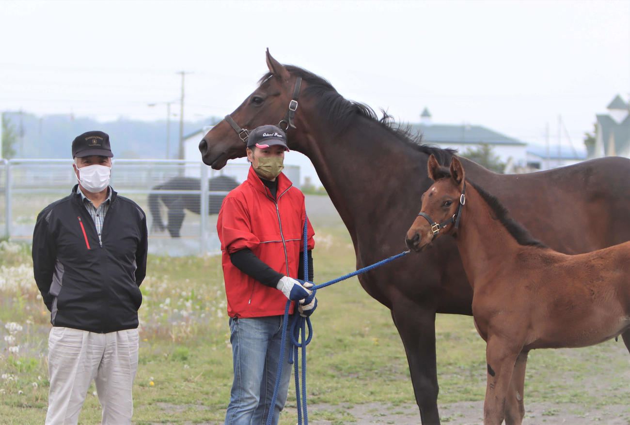 プラダリアの母シャッセロールと3月に誕生した当歳馬。左から中川信幸さん、譲さん