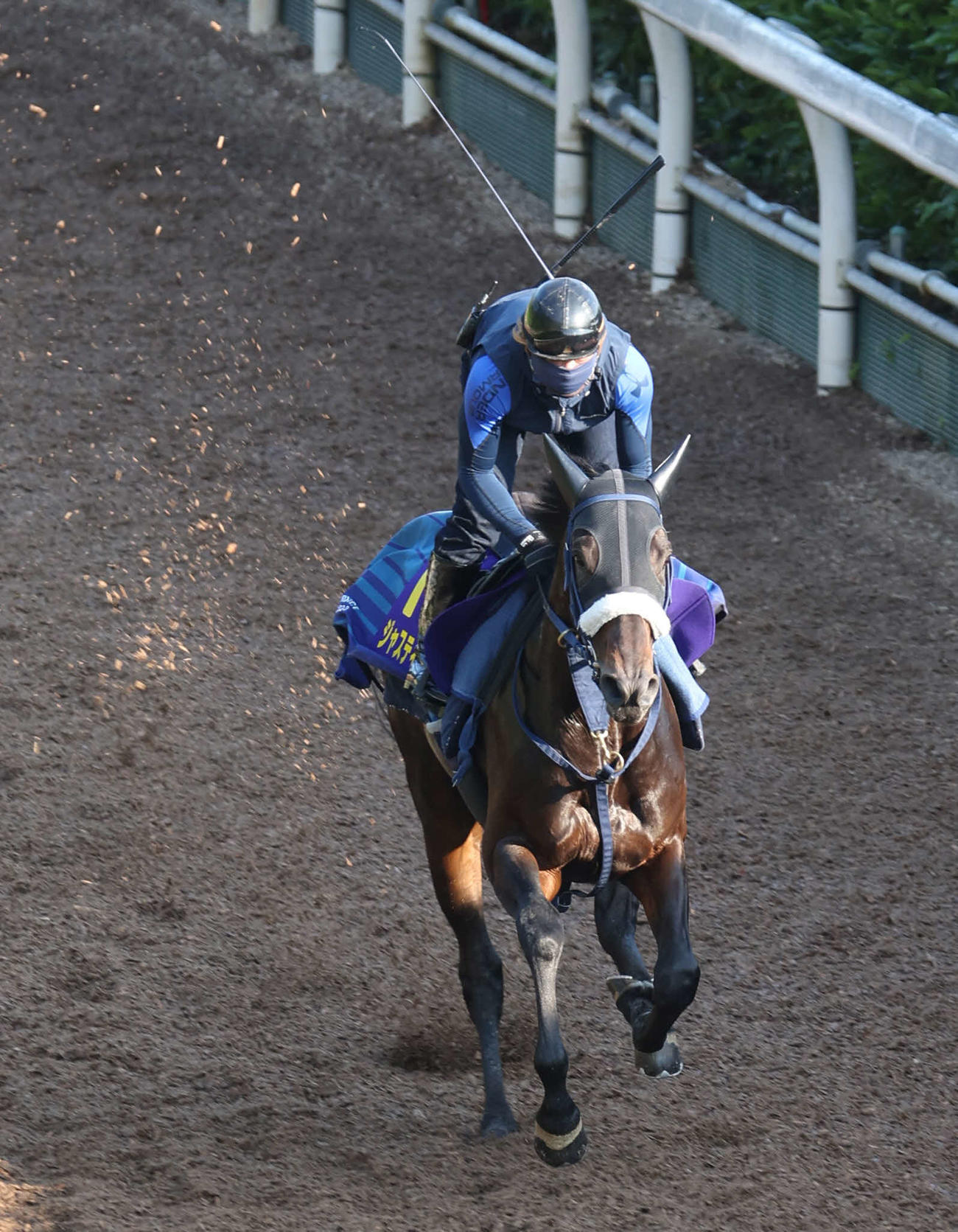 ジャスティンロック（2022年5月24日撮影）