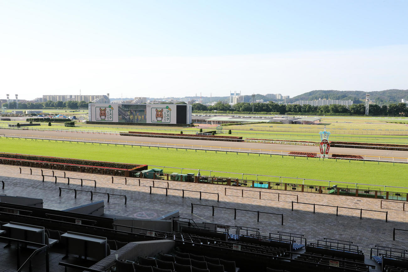午前7時頃の東京競馬場（撮影・鈴木正人）
