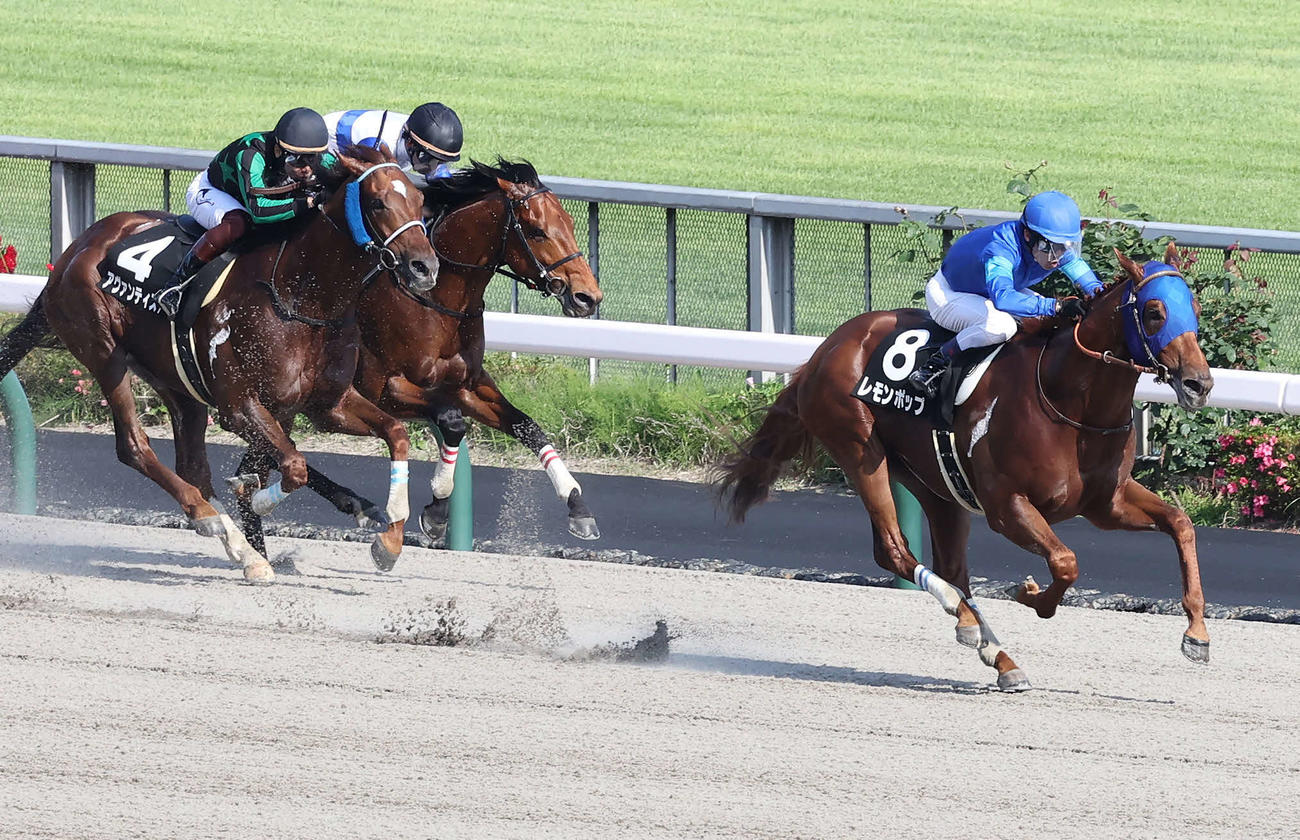 東京11R、欅Sを制したレモンポップと戸崎騎手（右）（撮影・丹羽敏通）