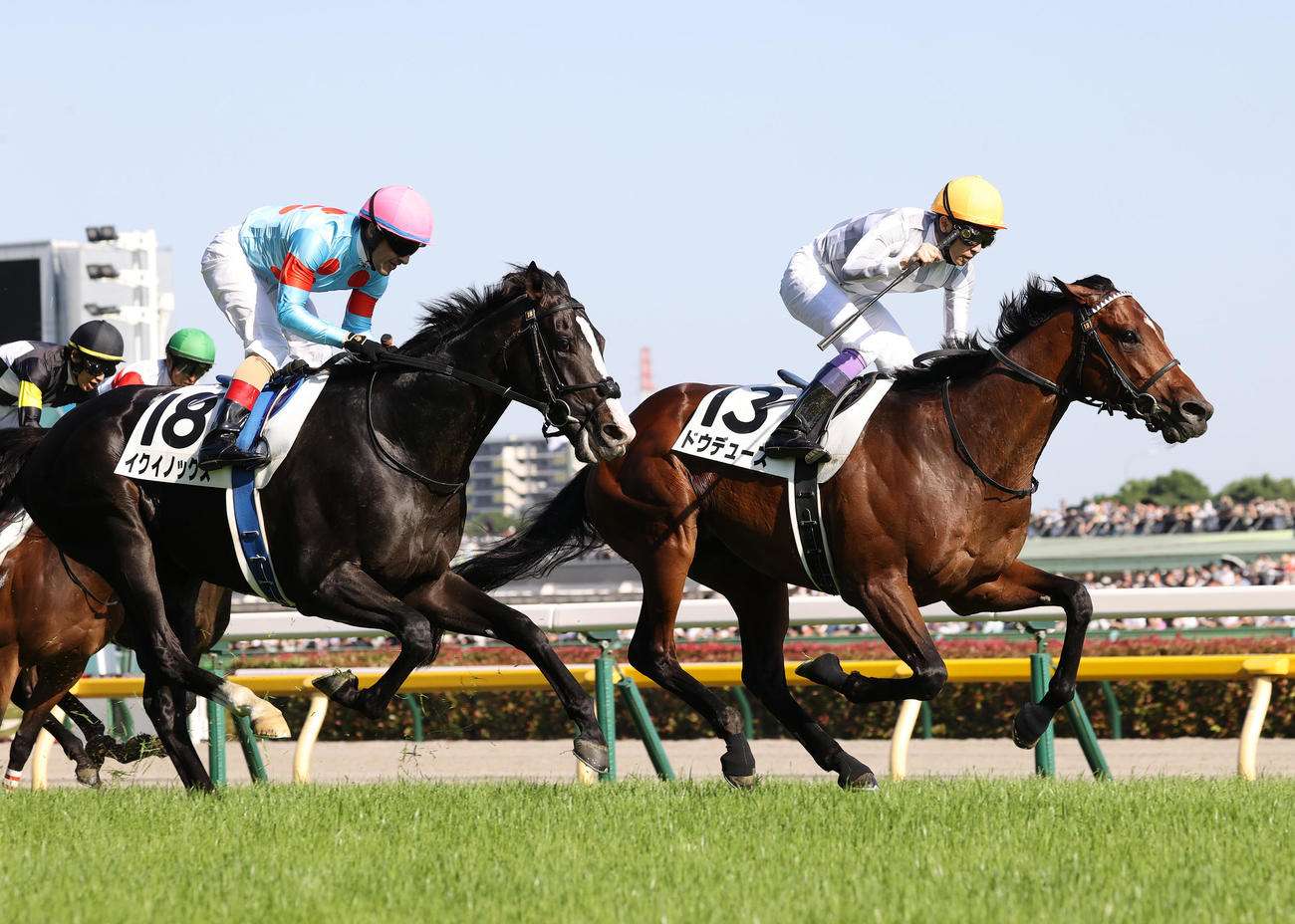 第89回日本ダービーを制したドウデュースと武豊騎手（右）（撮影・鈴木正人）