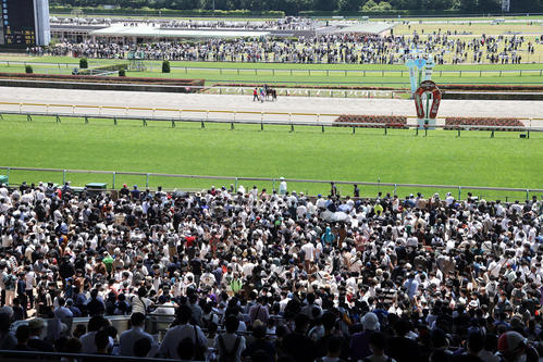 写真特集 ダービーデーの東京競馬場ドキュメント 開門前から長蛇の列に 開門ダッシュ も 競馬ライブ速報写真ニュース 日刊スポーツ