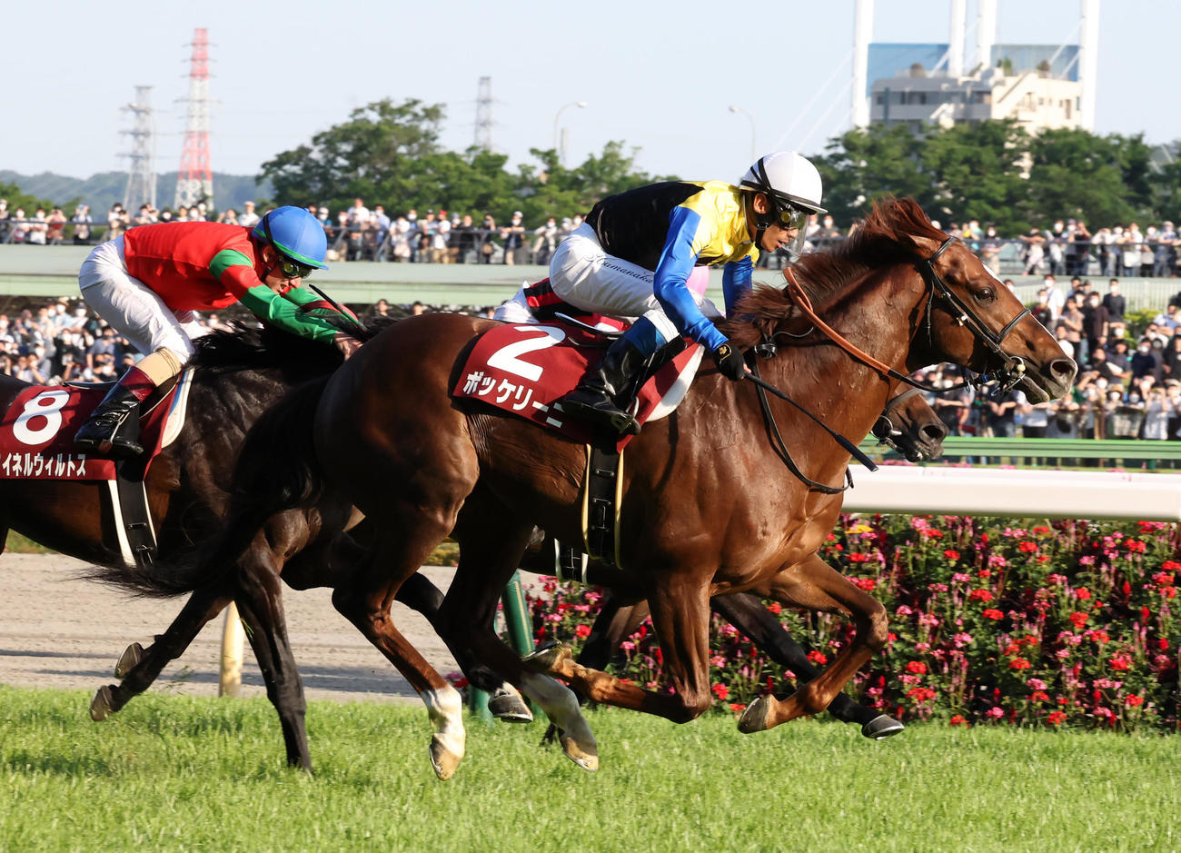 目黒記念を制したボッケリーニと浜中俊騎手（撮影・丹羽敏通）