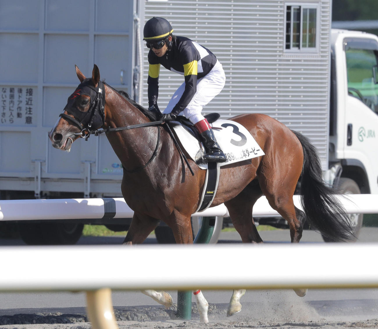 3着に善戦したアスクビクターモアと田辺騎手