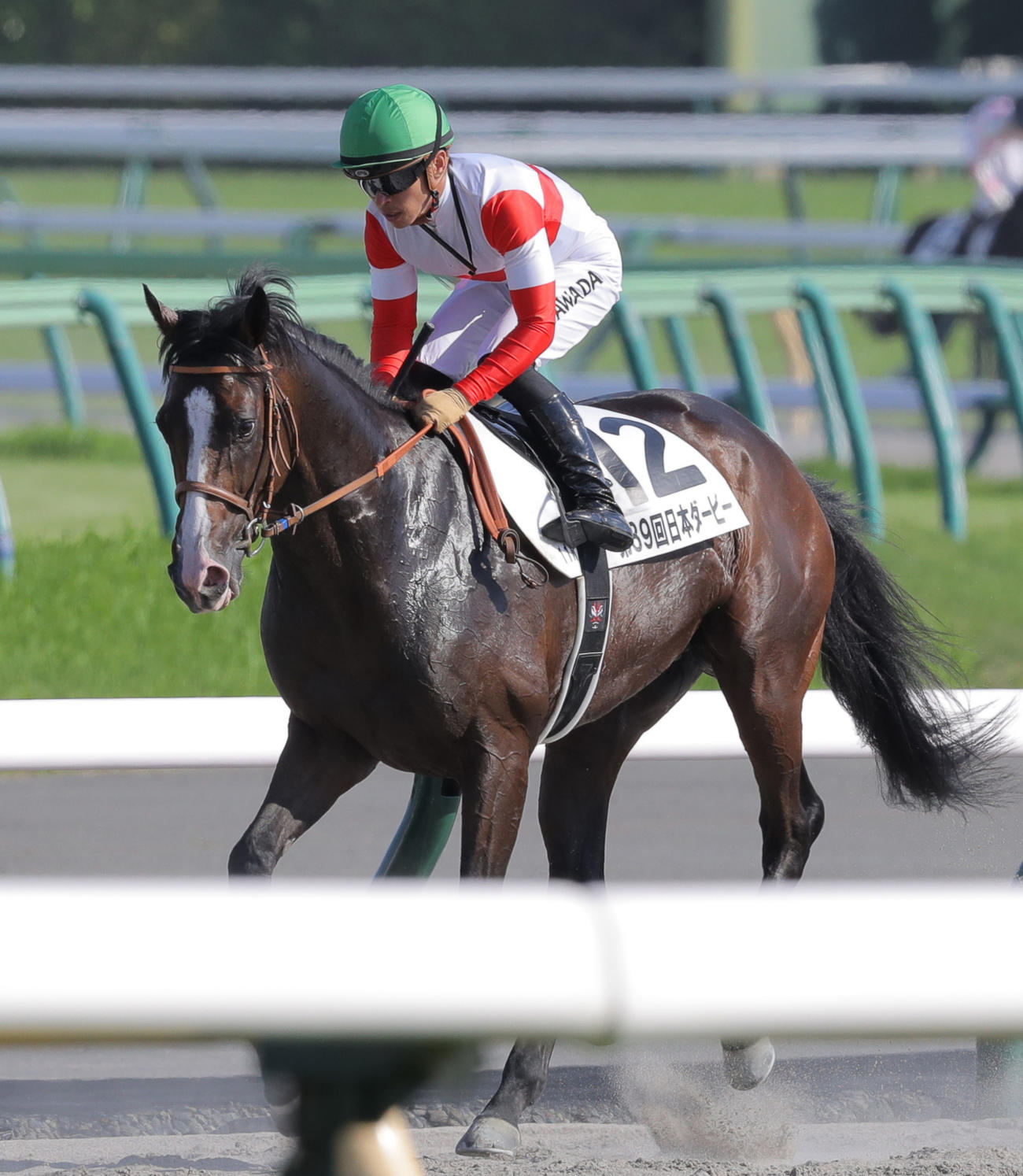 ダービー4着に敗れたダノンベルーガと川田騎手