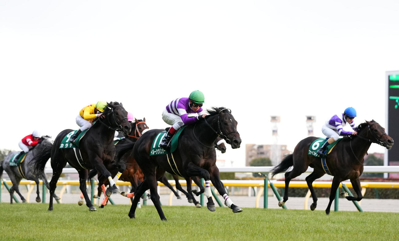 東京新聞杯を快勝したイルーシヴパンサーと田辺騎手（2022年2月6日撮影）