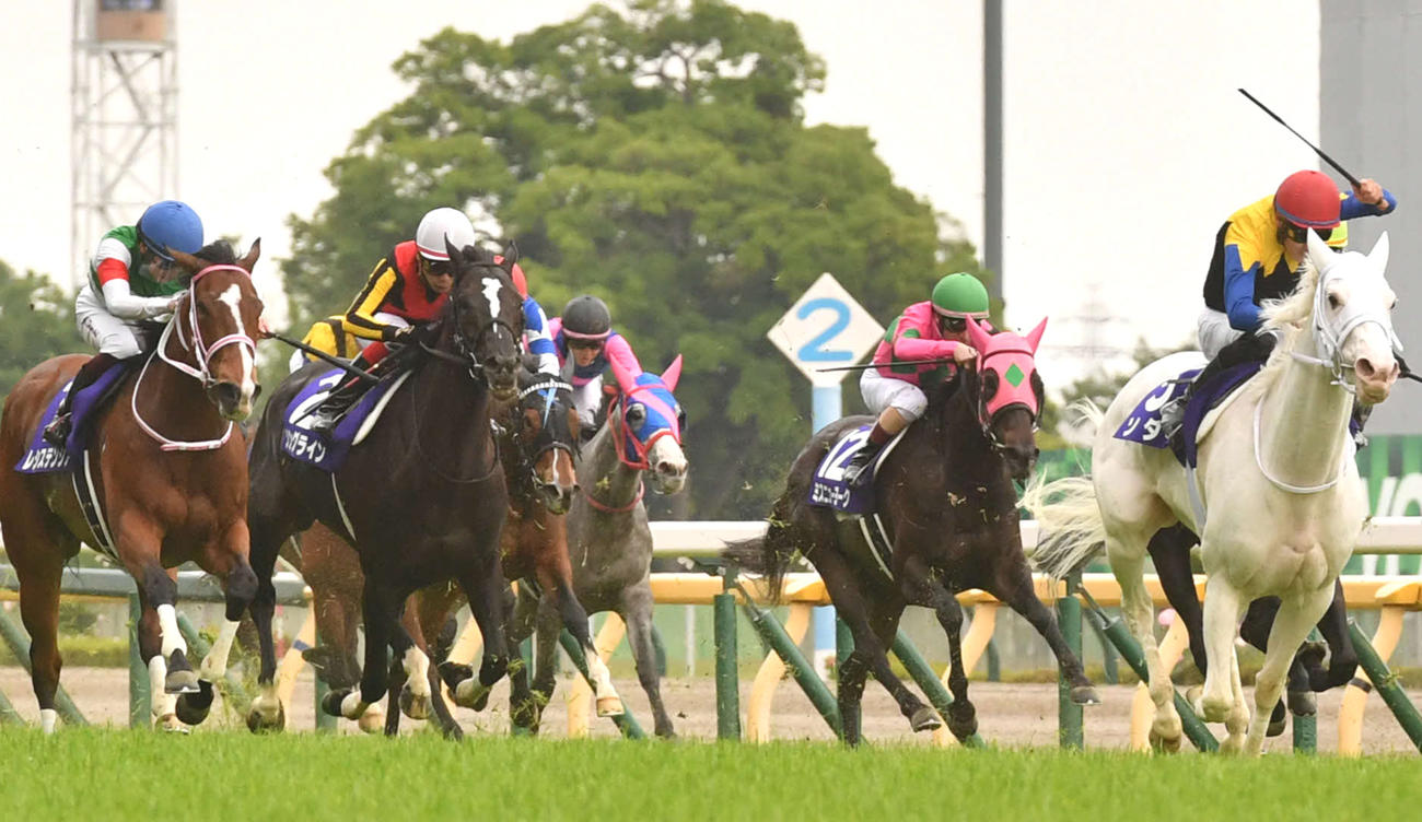 15日、ヴィクトリアマイルで5着となったソングライン（左から2頭目）、右は勝ったソダシ