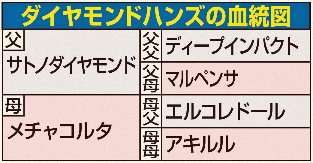 ダイヤモンドハンズ血統図