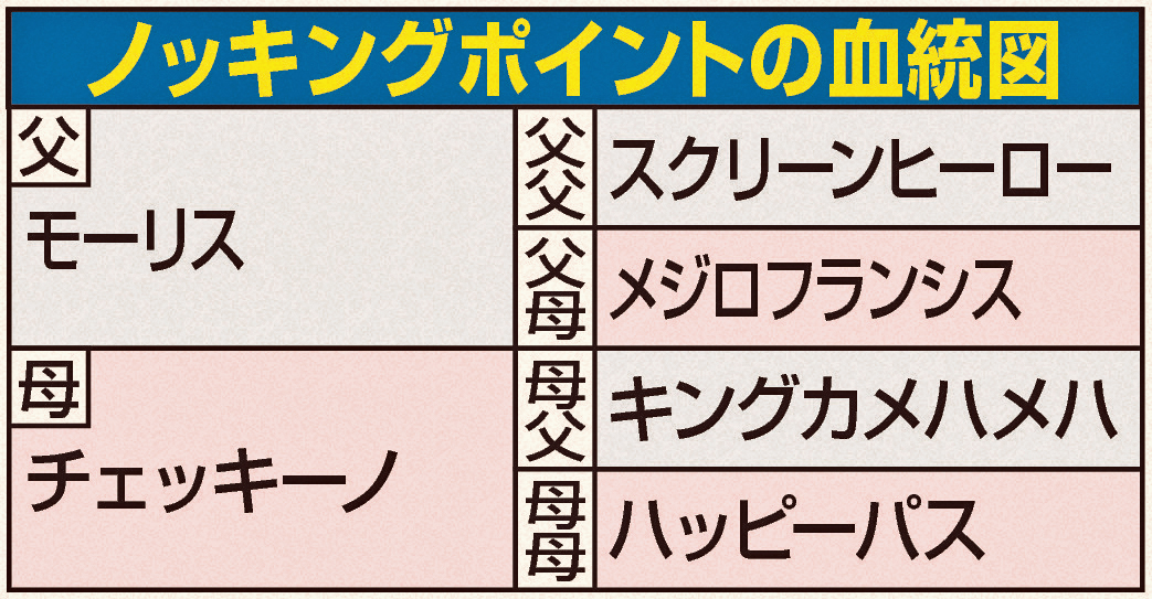 ノッキングポイント血統図